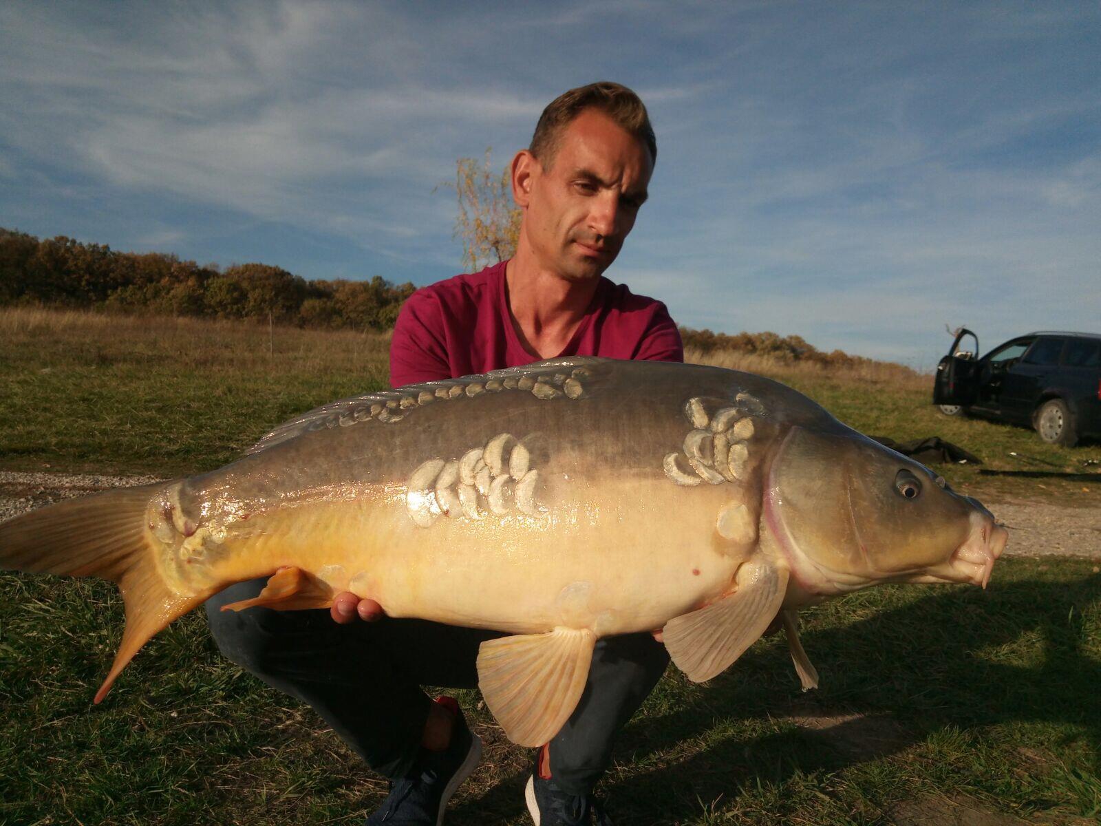 Fish - 367eb0eb-0ecf-4a2d-8e44-b1c1762c8a16.jpeg